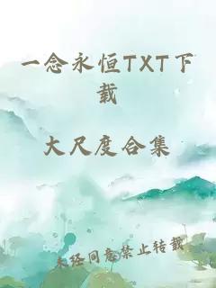 一念永恒TXT下载