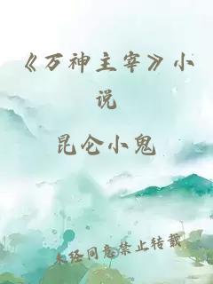 《万神主宰》小说