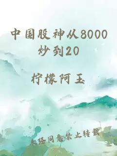 中国股神从8000炒到20