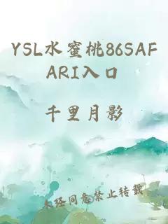 YSL水蜜桃86SAFARI入口