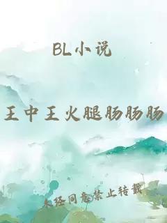 BL小说