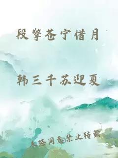 段擎苍宁惜月