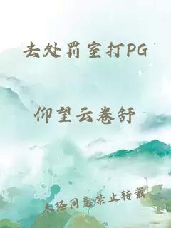 去处罚室打PG