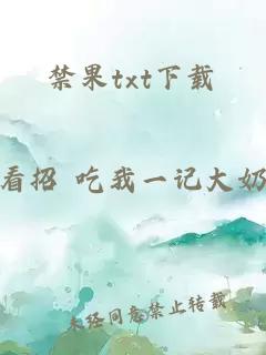 禁果txt下载