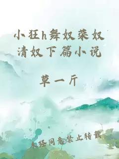 小狂h舞奴荣奴清奴下篇小说