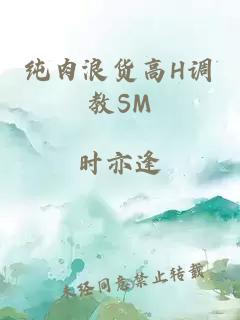 纯肉浪货高H调教SM