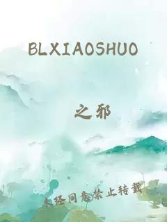 BLXIAOSHUO