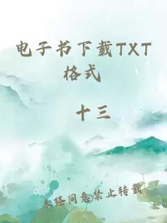 电子书下载TXT格式