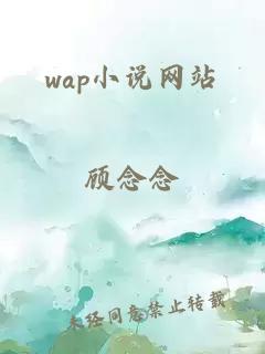 wap小说网站