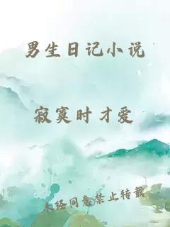 男生日记小说