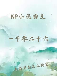 NP小说肉文