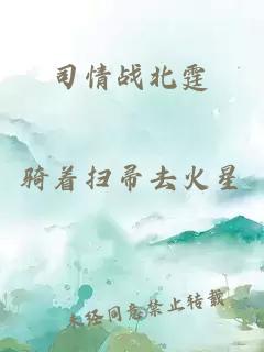 司情战北霆