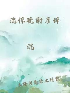 沈惊晚谢彦辞