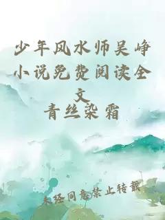 少年风水师吴峥小说免费阅读全文