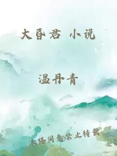 大昏君 小说