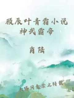 顾辰叶青霜小说神武霸帝