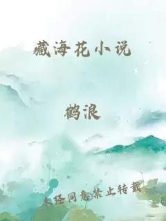 藏海花小说