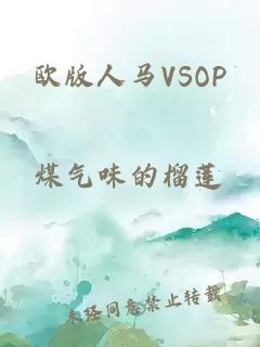 欧版人马VSOP