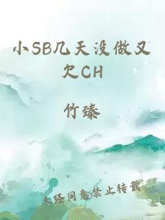 小SB几天没做又欠CH