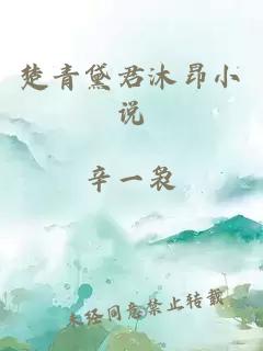 楚青黛君沐昂小说