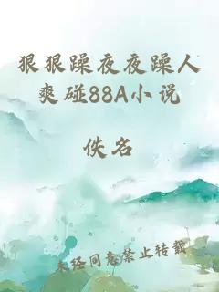 狠狠躁夜夜躁人爽碰88A小说