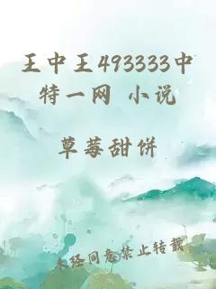 王中王493333中特一网 小说