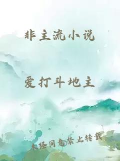 非主流小说