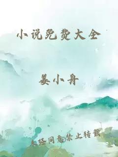 小说免费大全