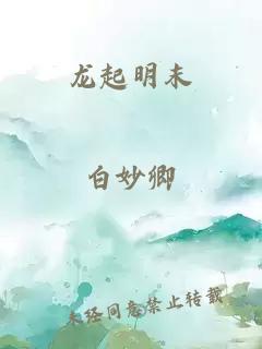 龙起明末