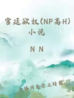 宫廷欲奴(NP高H)小说