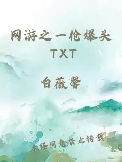 网游之一枪爆头 TXT