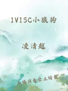 1V1SC小狼狗