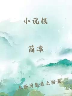 小说根