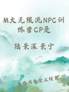 M大无限流NPC训练营CP是