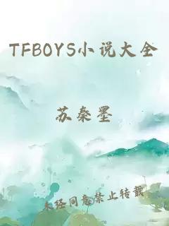 TFBOYS小说大全