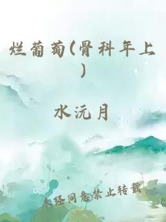 烂葡萄(骨科年上)