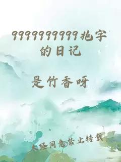 9999999999兆字的日记