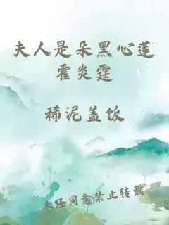 夫人是朵黑心莲霍炎霆