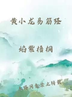 黄小龙易筋经