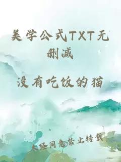 美学公式TXT无删减