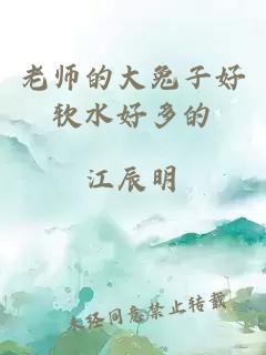 老师的大兔子好软水好多的