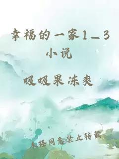 幸福的一家1—3小说