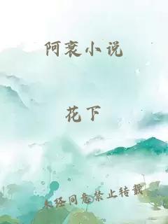 阿衰小说