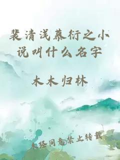 裴清浅慕衍之小说叫什么名字