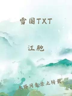 雪国TXT