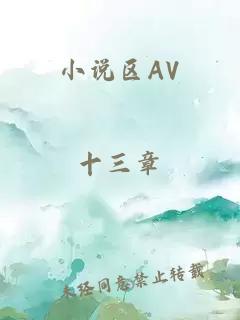 小说区AV