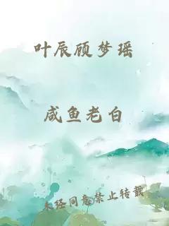 叶辰顾梦瑶