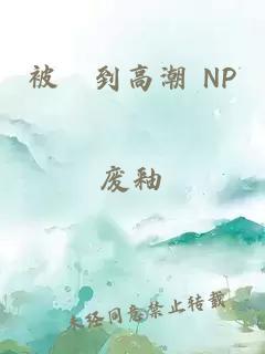 被奷到高潮 NP