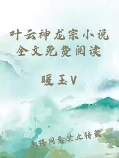 叶云神龙宗小说全文免费阅读