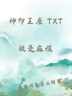 神印王座 TXT